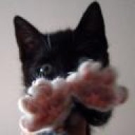 undead.kitten