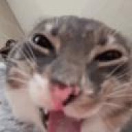 t44_2134w049123_0391