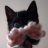 undead.kitten