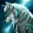 wolffywolffy